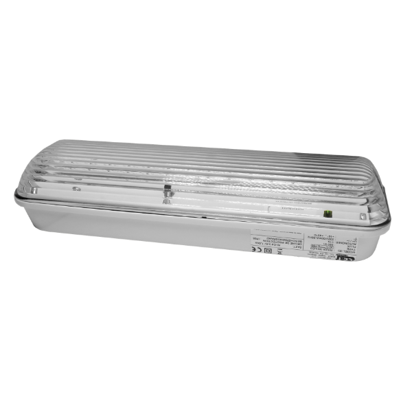 CE+T V601808190 WAX8-3-M - noodverlichting permanent - 2,5W - 250 lumen - 3 uur - IP65 - transparant